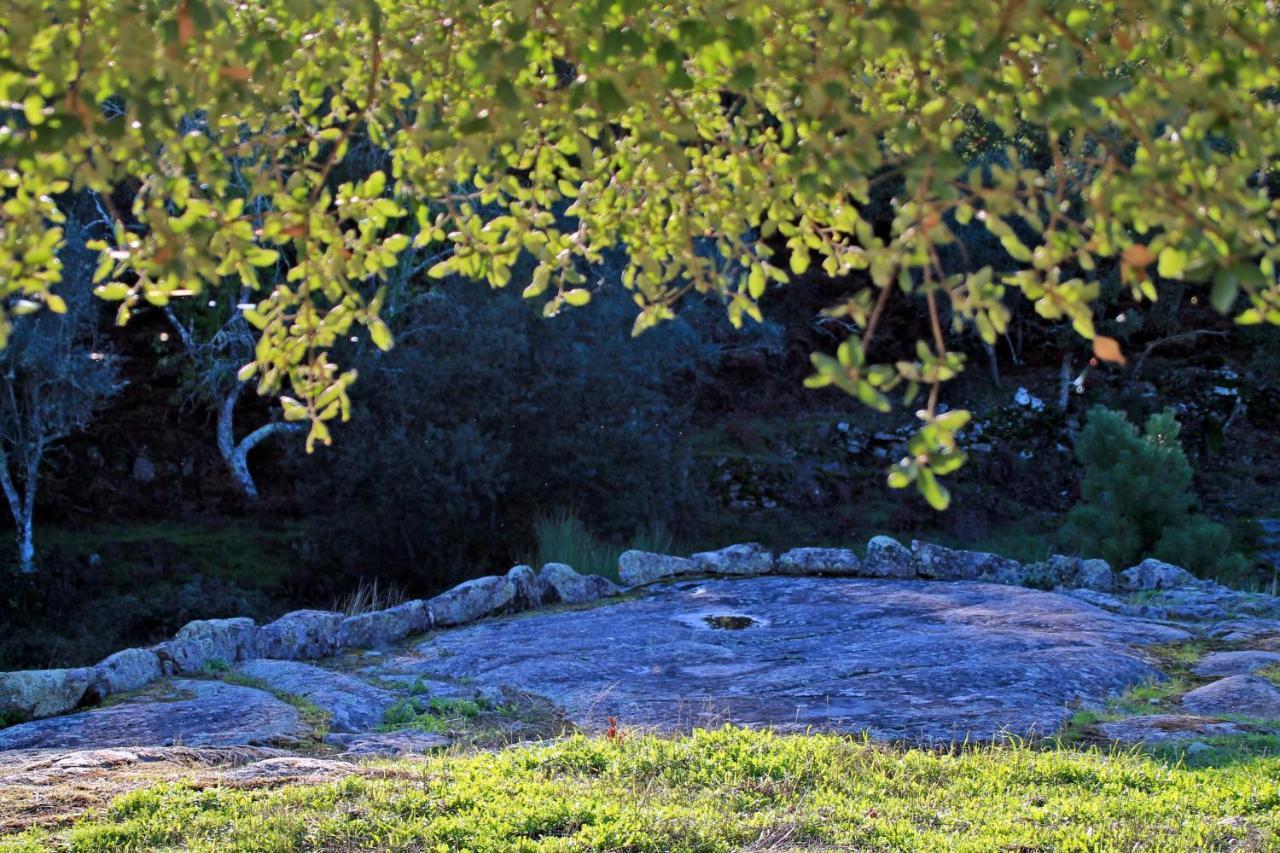 Quinta Da Utopia Castelo de Vide Dış mekan fotoğraf