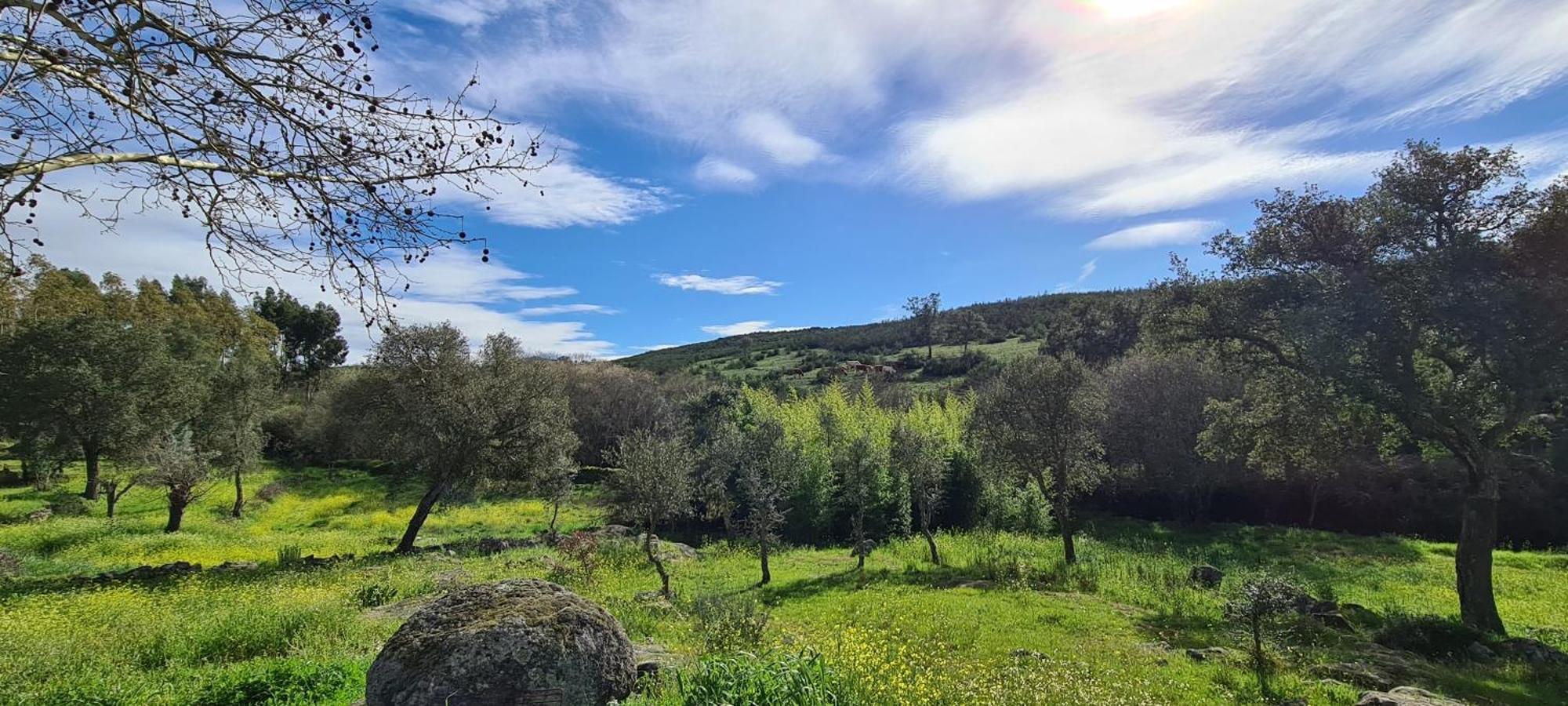Quinta Da Utopia Castelo de Vide Dış mekan fotoğraf