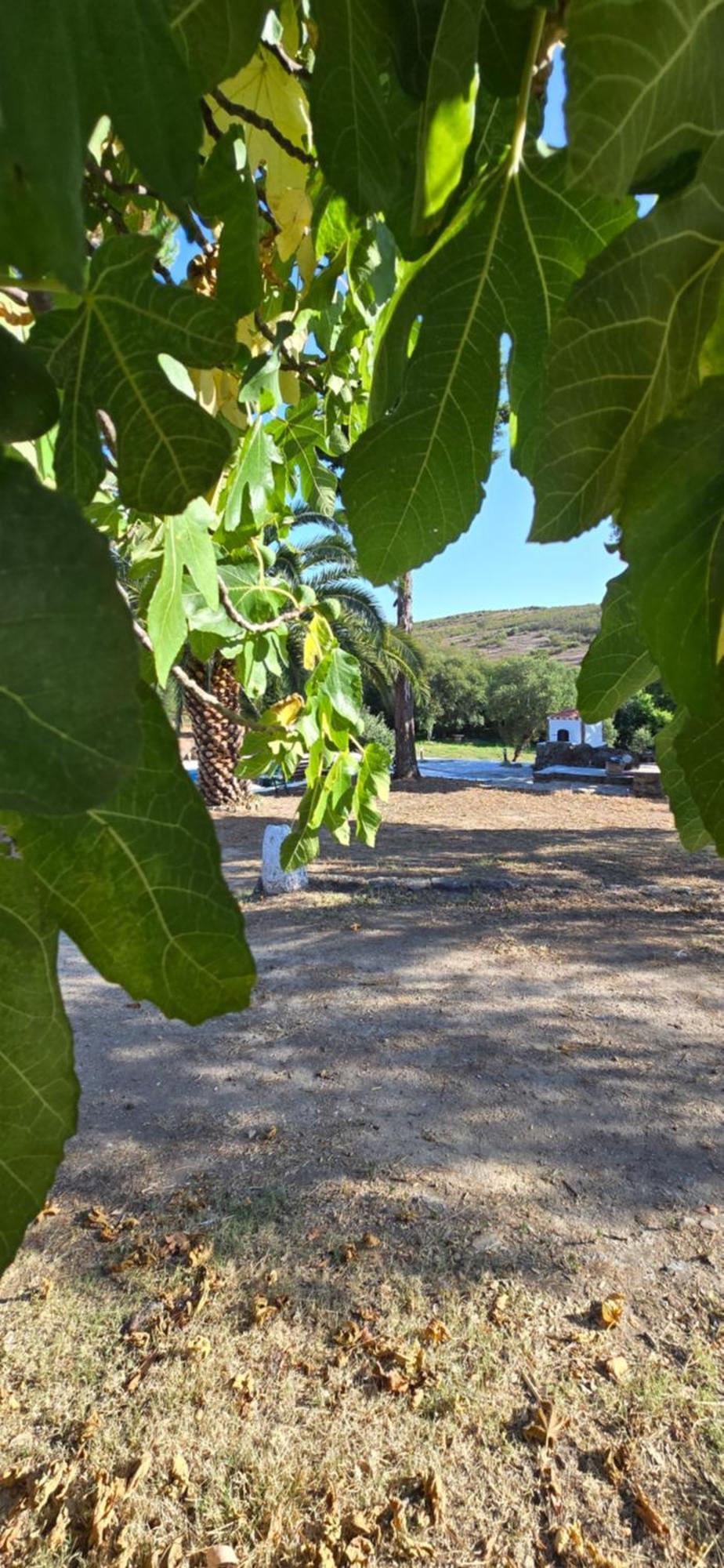Quinta Da Utopia Castelo de Vide Dış mekan fotoğraf