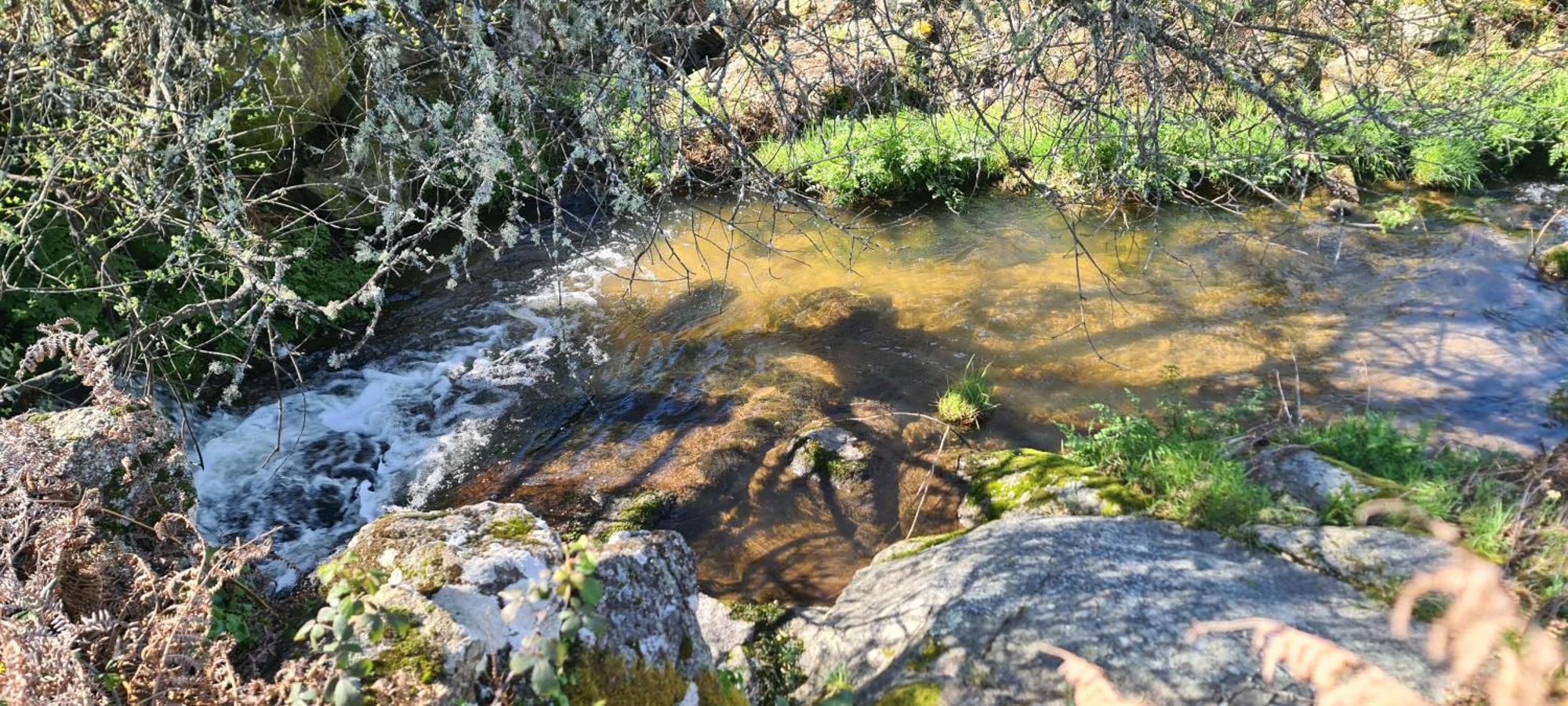 Quinta Da Utopia Castelo de Vide Dış mekan fotoğraf